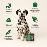 Infográfico dos benefícios do Bem Barriga: melhora a digestão, reduz odor das fezes, fortalece a imunidade e protege as articulações de cães.