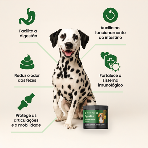 Bem Barriga Digestão Saudável