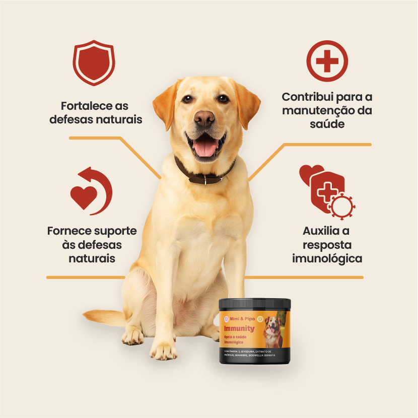 Infográfico dos benefícios do suplemento Immunity: fortalece defesas naturais, contribui para manutenção da saúde, oferece suporte às defesas e auxilia a resposta imunológica.