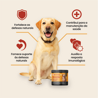 Infográfico dos benefícios do suplemento Immunity: fortalece defesas naturais, contribui para manutenção da saúde, oferece suporte às defesas e auxilia a resposta imunológica.